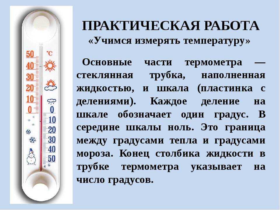 Лихорадка у кошек