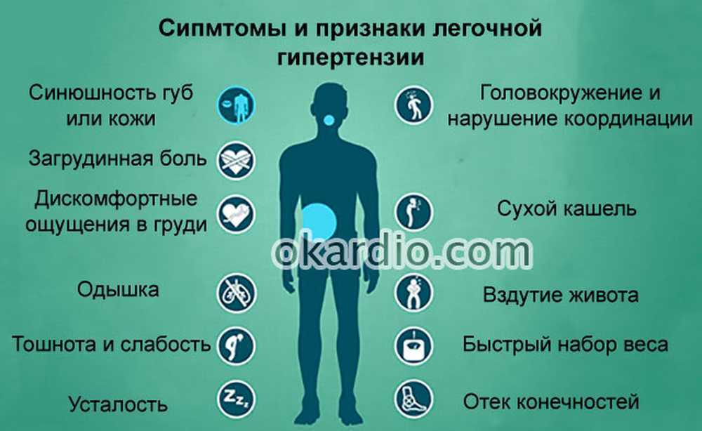 Отек легких у собак: симптомы, лечение, прогноз - ситивет, спб