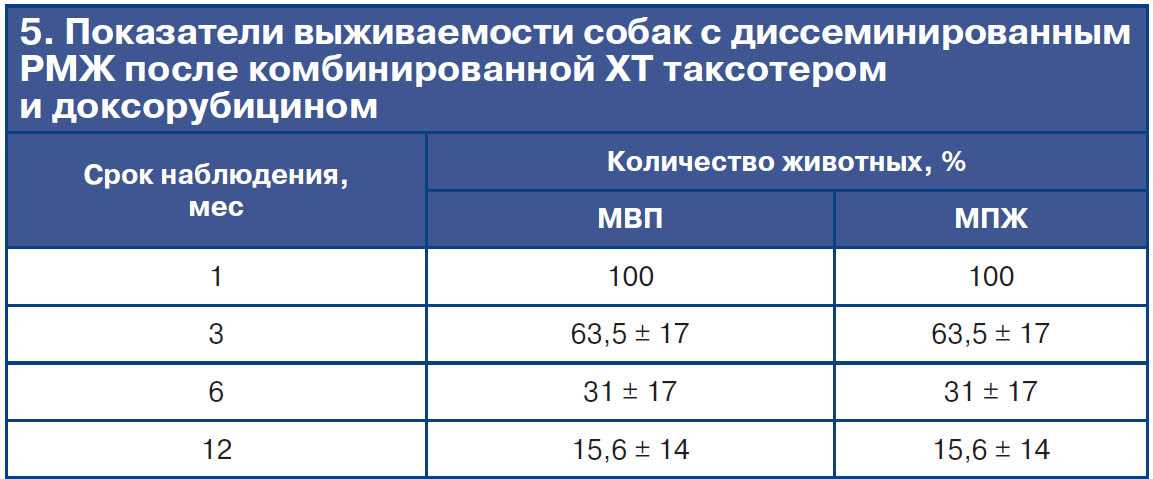 Опухоли молочных желез у кошек симптомы и лечение