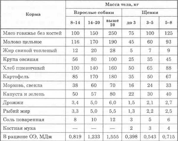 Чем кормить собаку — натуралкой или сухим кормом?