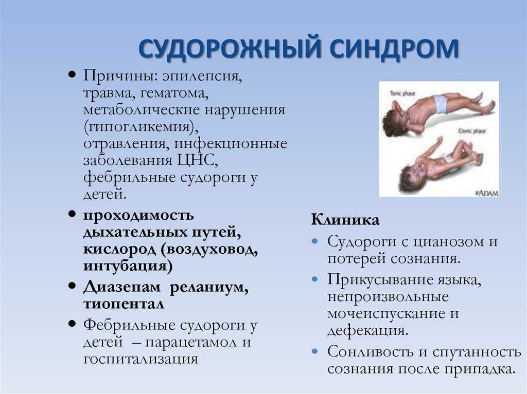 Судороги у собаки
