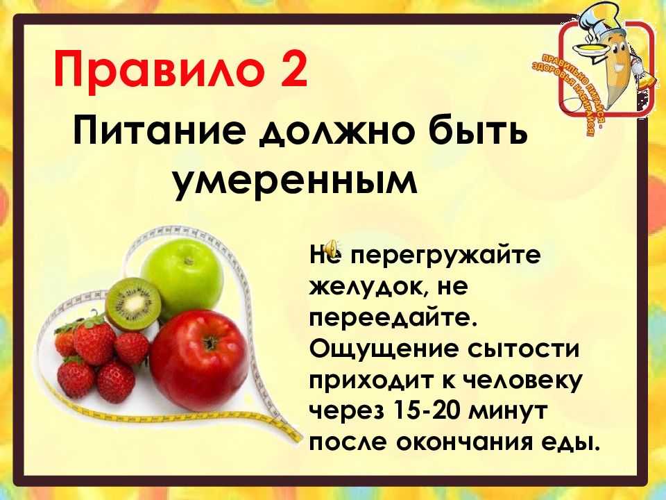 🐶 лучшие корма для пожилых собак на 2023 год
