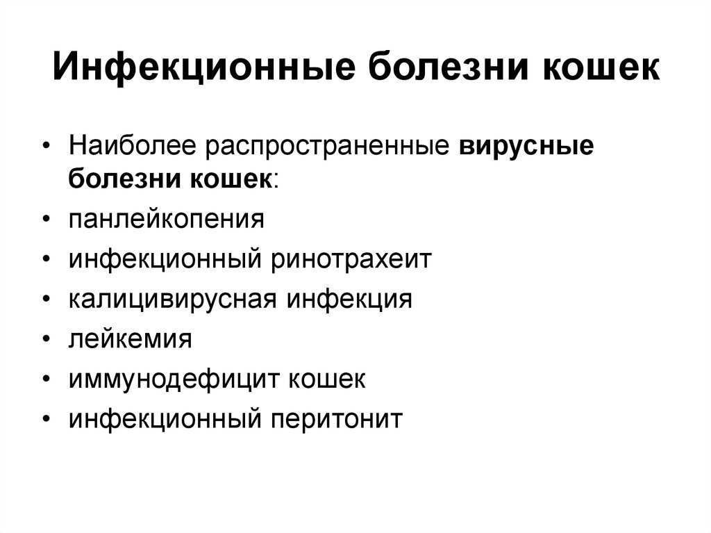 Гнойные выделения у кошки из носа - причины и лечение | ваши питомцы