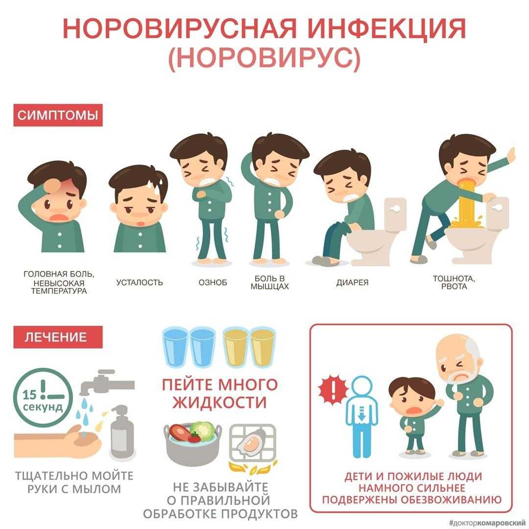 Характерными особенностями коронавируса являются профузный понос с кровью и лейкопения Данный вид инфекции не достаточно изучен, поэтому единой схемы лечения, а также эффективной вакцины, дающей 100% гарантию от заражения, не найдено