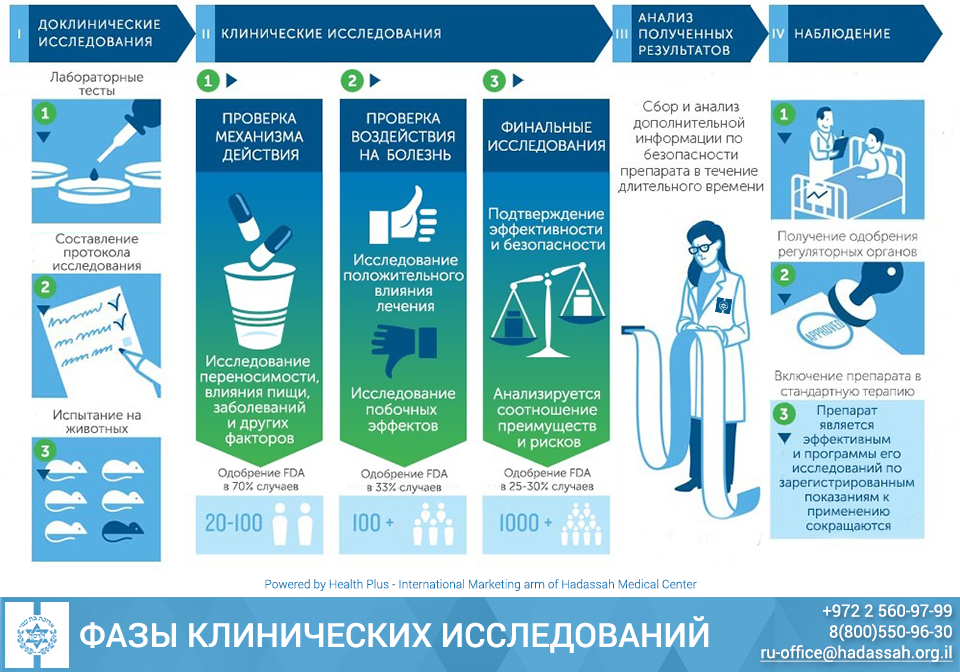 Семейство мартышкообразные (cercopithecoidea), или низшие узконосые обезьяны. приматы
