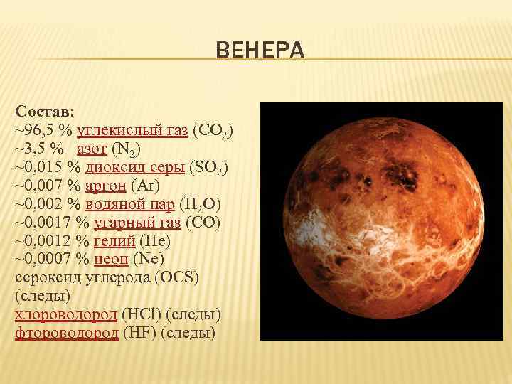 Корзина цветов венеры - википедия