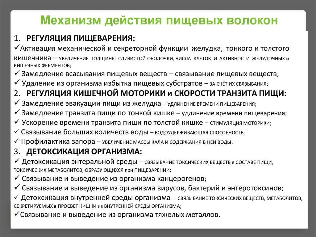 10 древних животных, которых могут вернуть к жизни