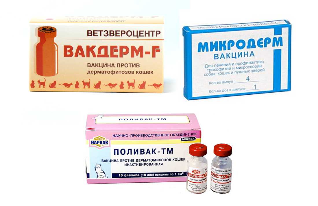 Если у животного есть хроническое заболевание, уколы могут требоваться ежедневно на протяжении всей жизни В связи с этим нужно, чтобы владелец умел делать манипуляцию самостоятельно в домашних условиях