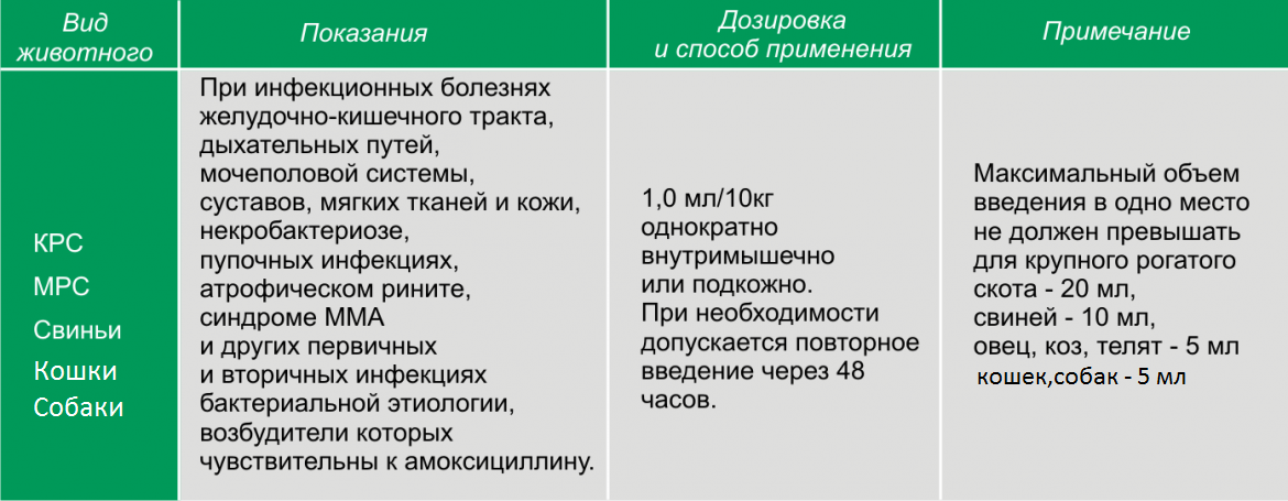 Глазная мазь с антибиотиком - список лучших антибактериальных