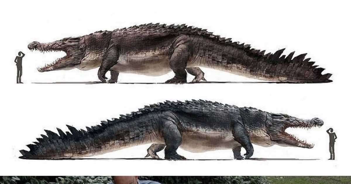 Чем крокодилы похожи на своих кузенов-динозавров?