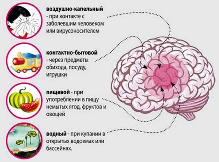 Инфекции головного мозга | неврология | заболевания