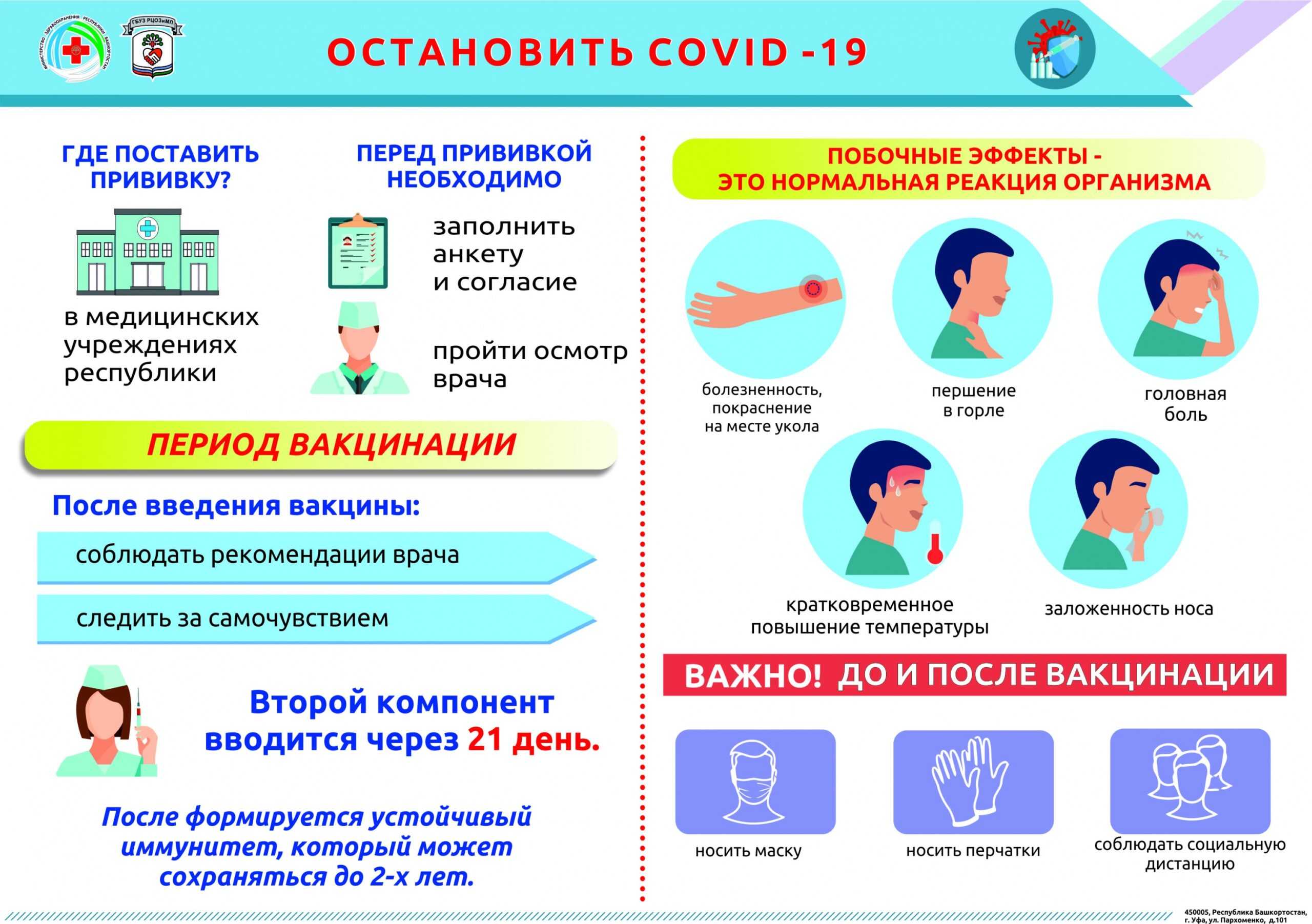 Обзор лучших вакцин для кошек на 2023 год.