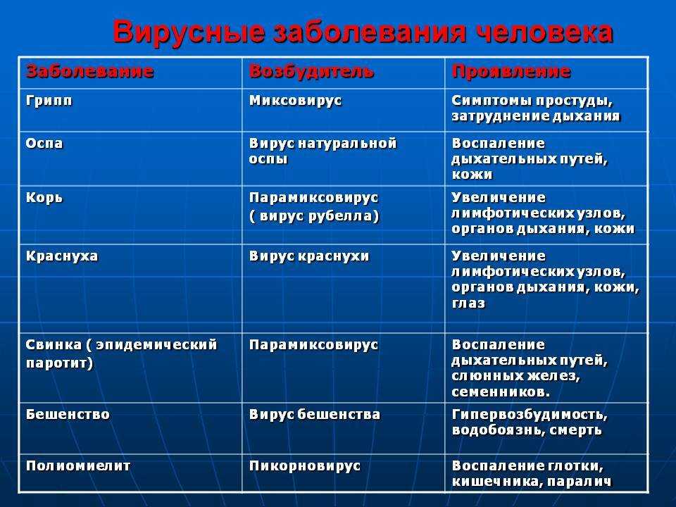Парвовирусная инфекция у собак: опасность для щенков и взрослых особей