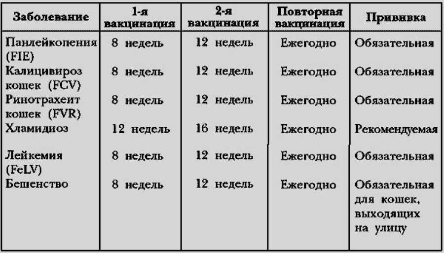 Профилактические прививки для кошек, виды вакцинации и сроки проведения | блог ветклиники "беланта"
