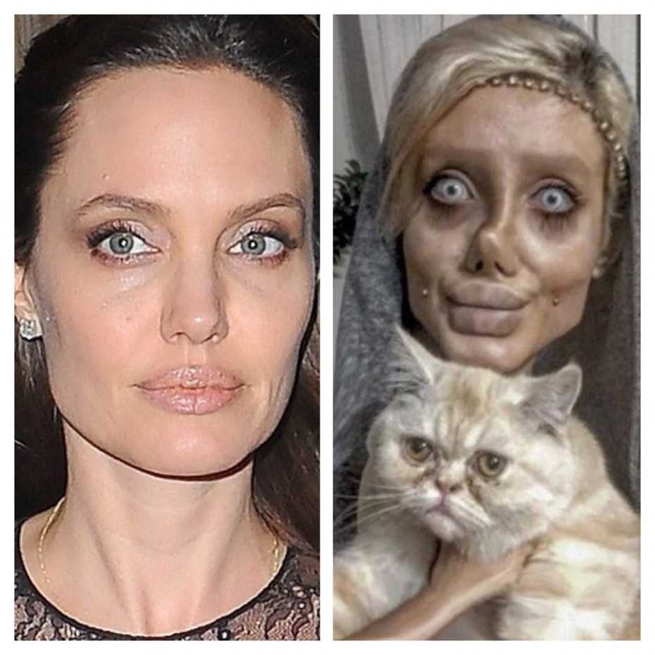 Как понять, что кошка любит хозяина?