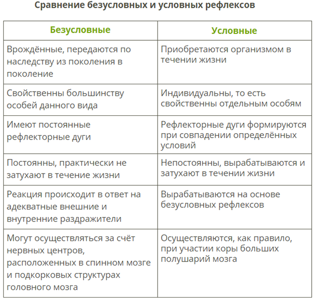 Виды и характеристика рефлексов у собак: изучение основных реакций