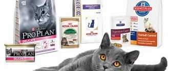 Витамины для кошек от выпадения шерсти, корма и рекомендации ветеринаров