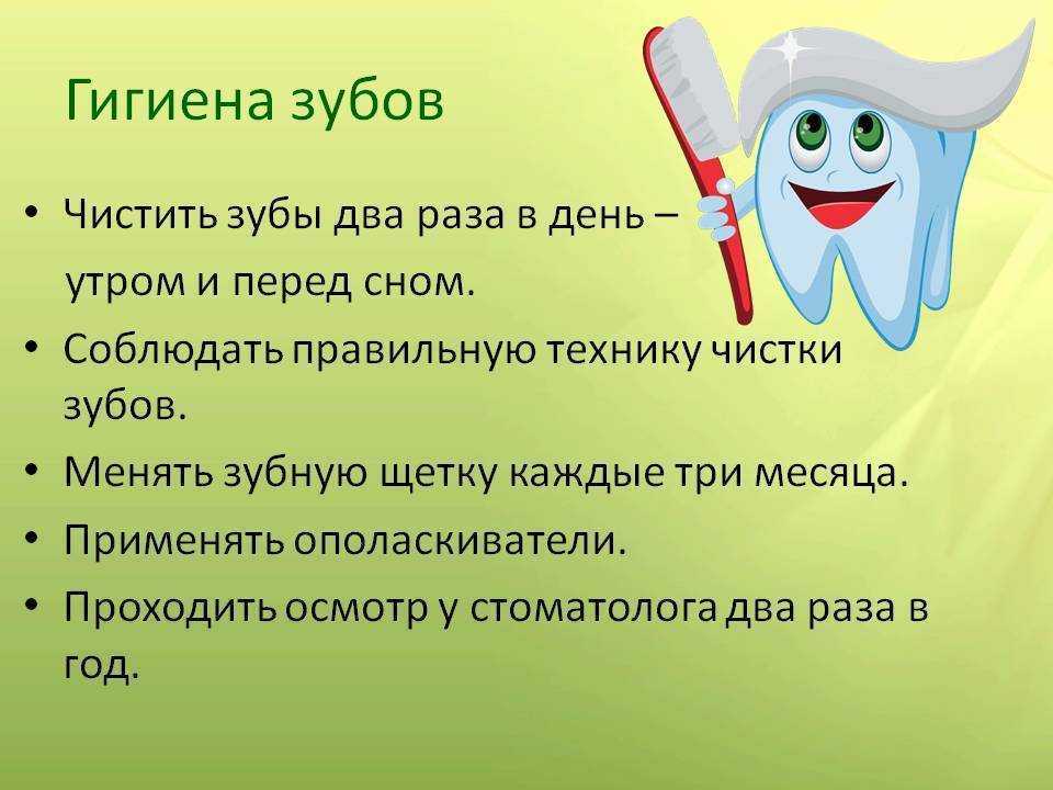 Как почистить зубы коту в домашних условиях: средства, инструкции, выбор зубной пасты для кошек