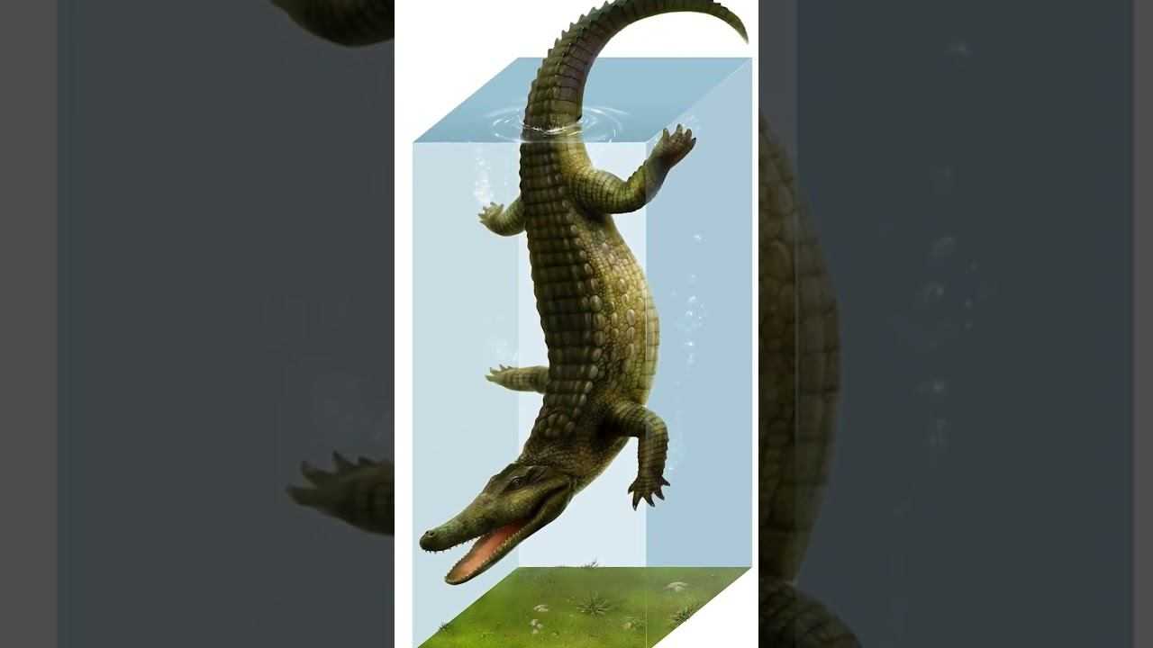 Вот почему крокодилы не сильно изменились за 200 миллионов лет