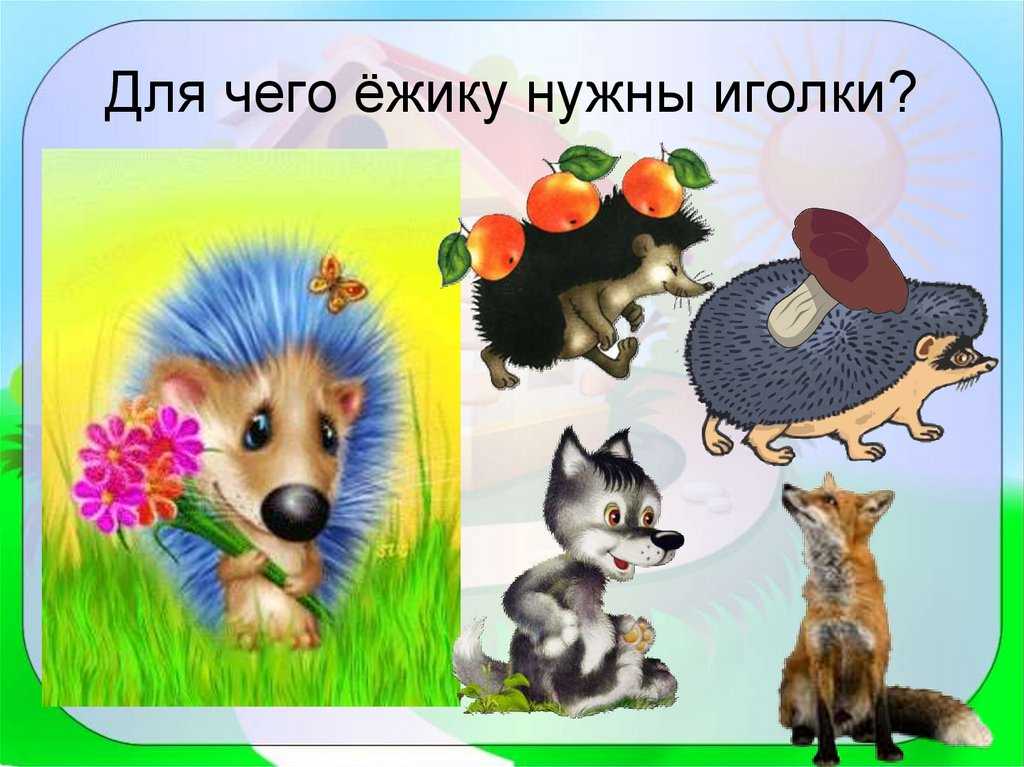 20 хитростей выживания: применение подручных предметов в чрезвычайных ситуациях