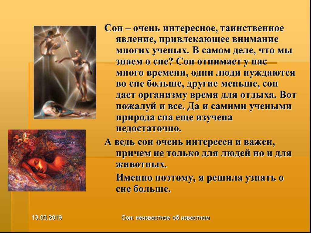 Видят ли собаки сны