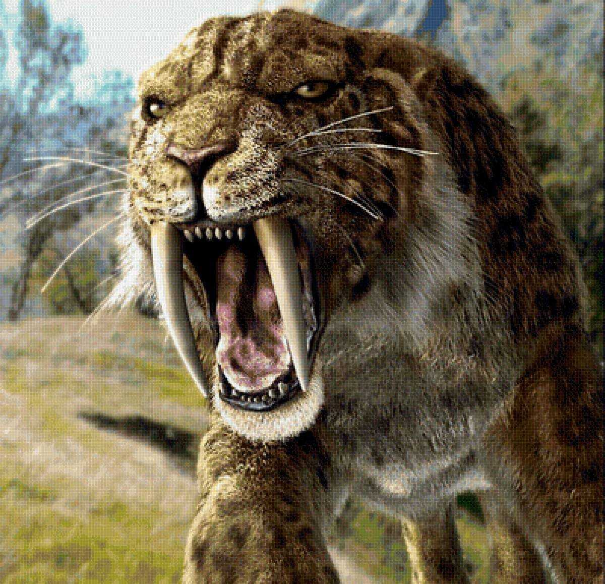 Пещерный лев против саблезубого тигра кто сильнее. американский лев: гигантский предок современных кошек. почему вымерли саблезубые кошки