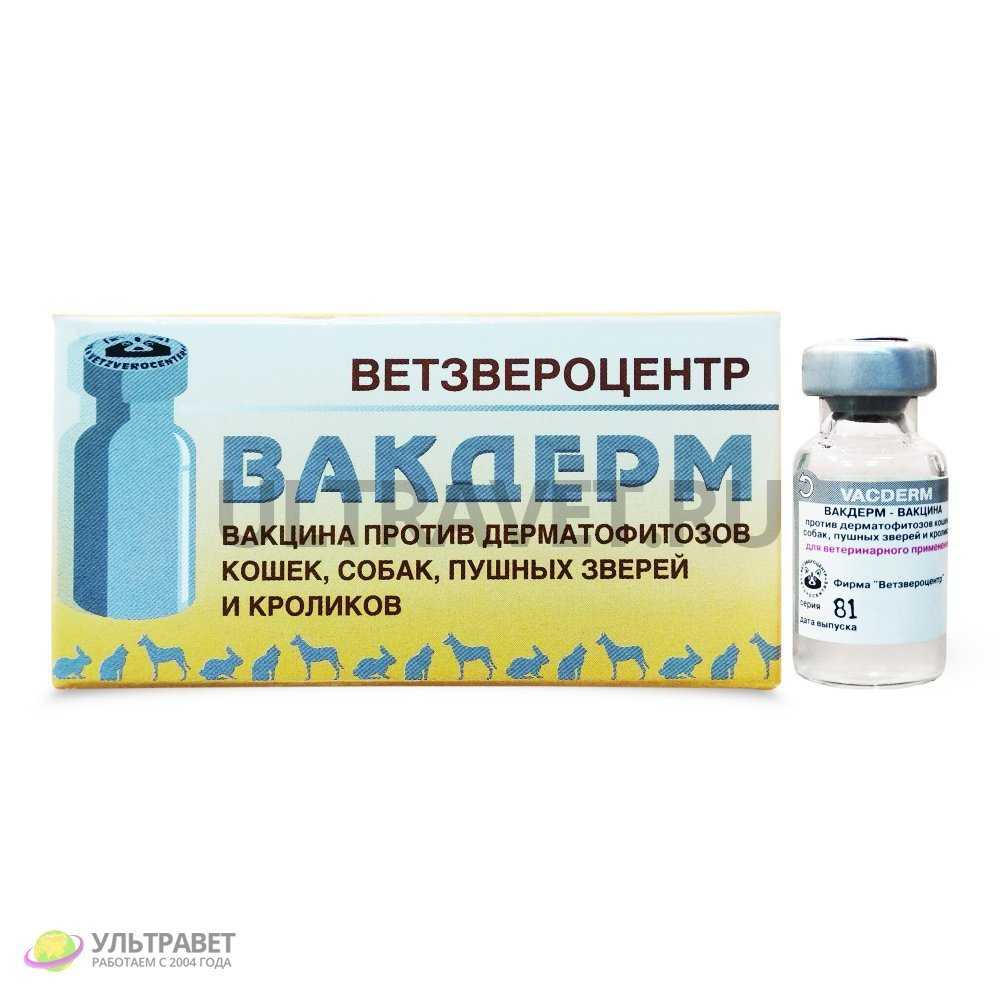 Для вакцинации кошек от лишая чаще всего применяется вакцины Вакдерм или Поливак-ТМ, специально адаптированный для применения для домашних кошек Каждая из из вакцин имеет свои преимущества и особенности