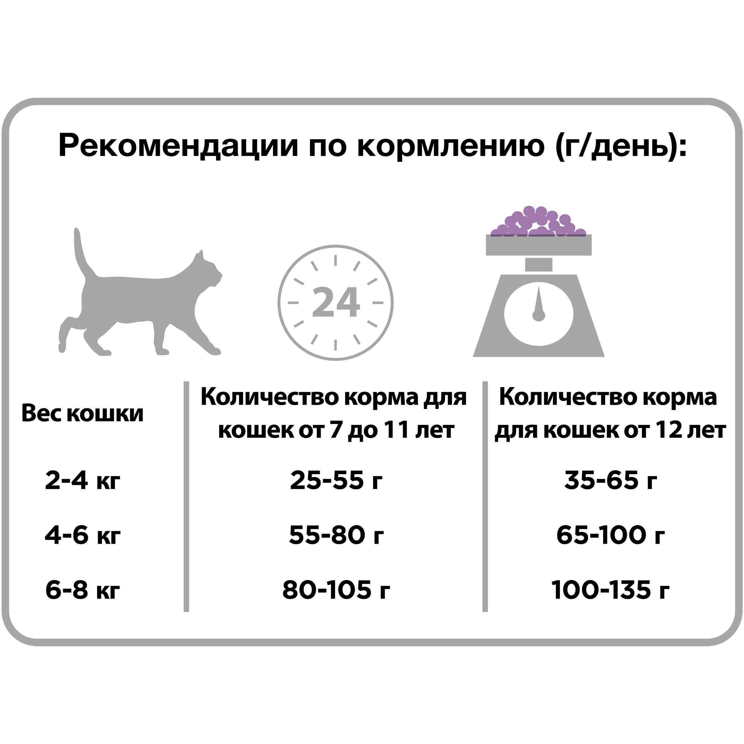 Как откормить худую кошку, чтобы набрала вес