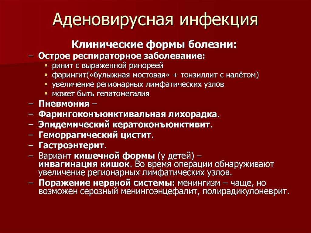 Парвовирусный энтерит собак: причины, симптомы и лечение