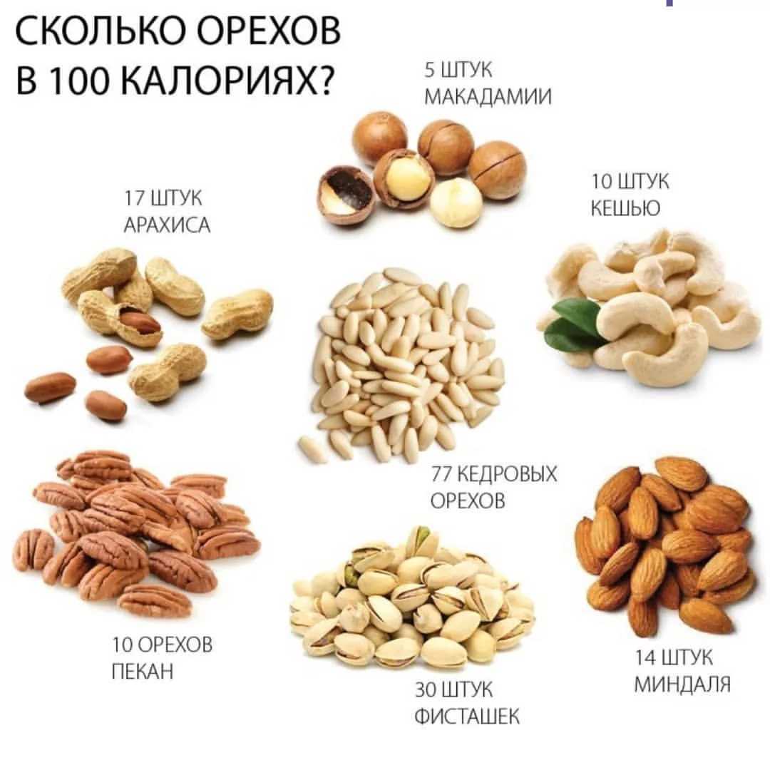 Можно ли собакам орехи разных видов: фисташки, фундук, грецкие, арахис
