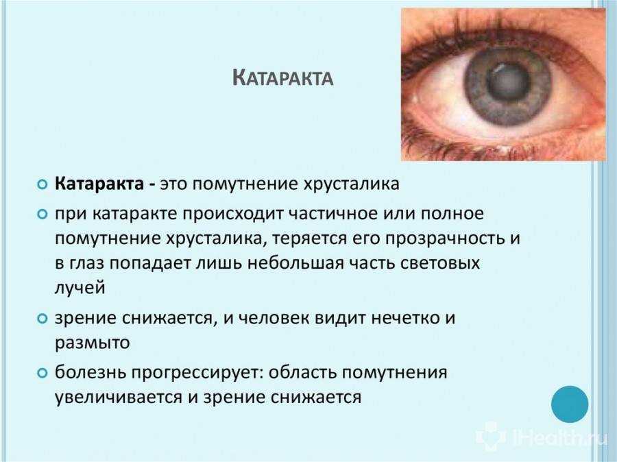 Чумка у собаки: симптомы и лечение