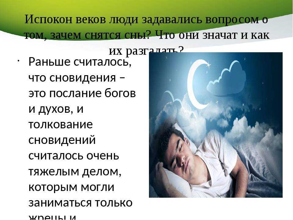 Что помнят наши питомцы? - nasledie digital