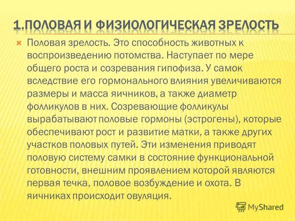 Кастрация котов