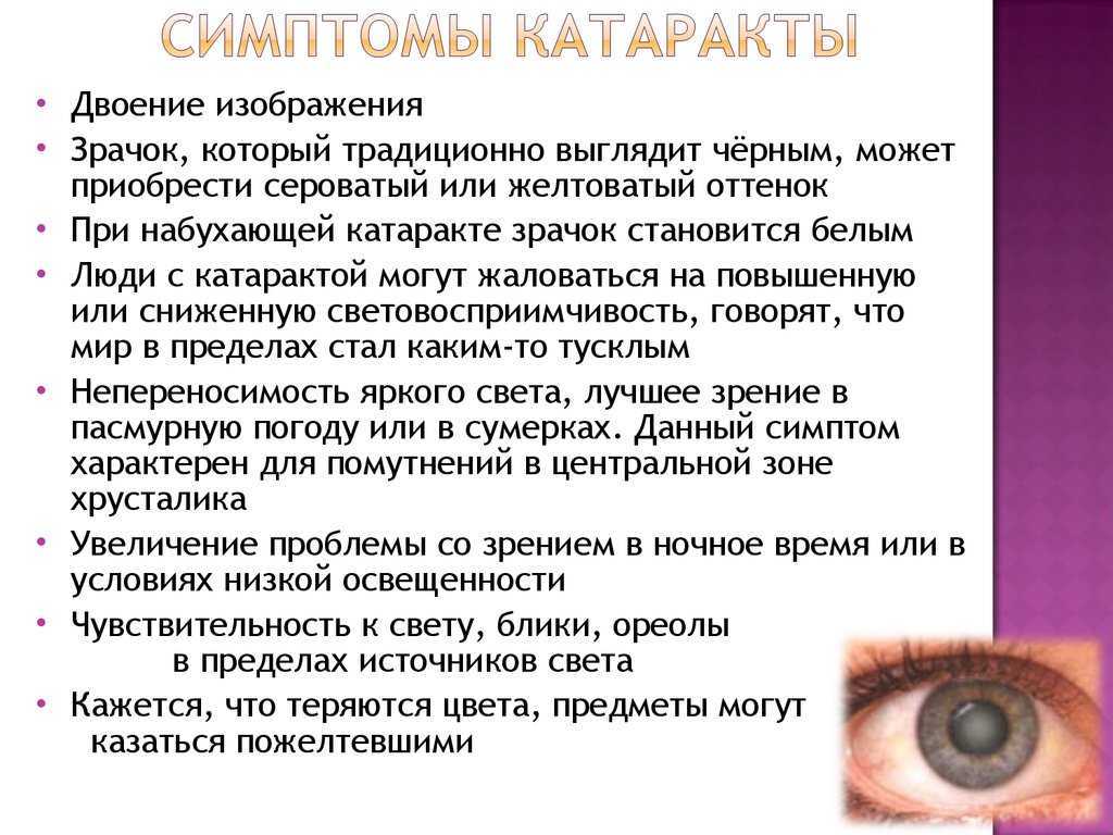 Глазные болезни у собак: симптомы, лечение, профилактика | блог ветклиники "беланта"