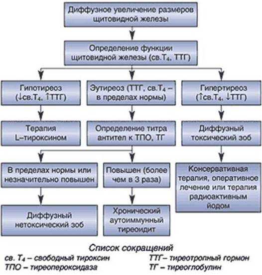 Гипотиреоз собак