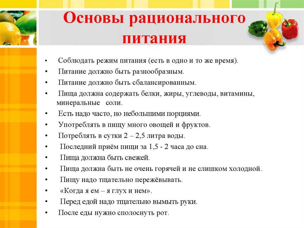 Чем кормить пожилую собаку: особенности рациона