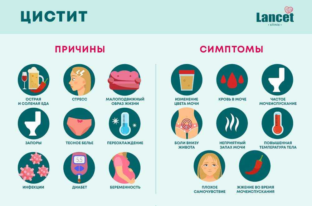 Идиопатический цистит у кошек