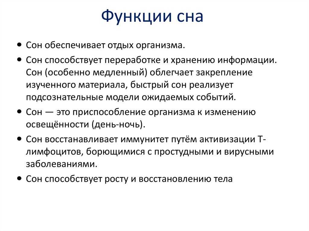 Собаки и их сны: всё, что вы должны знать