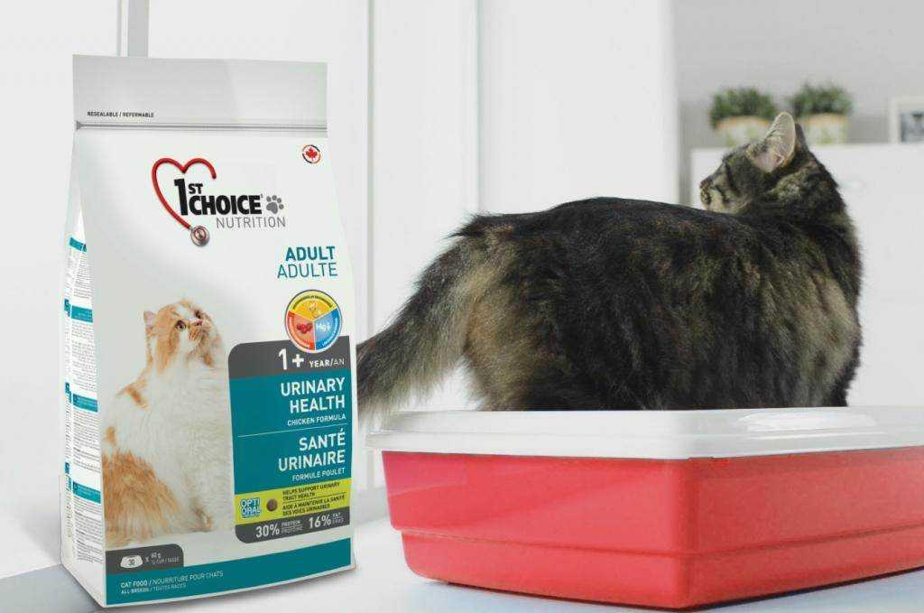 Топ-8 кормов для кошек при мочекаменной болезни