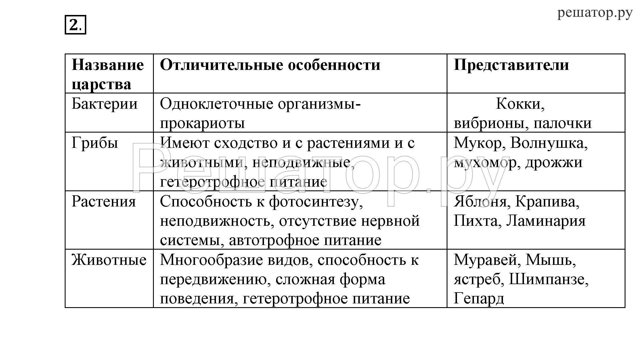 Микоплазмоз у кошек - симптомы, лечение и опасность для человека