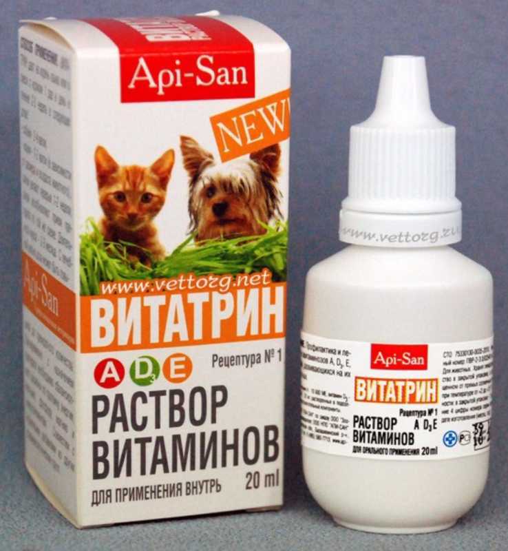 Гиповитаминозы у животных — симптомы, причины и методы лечения