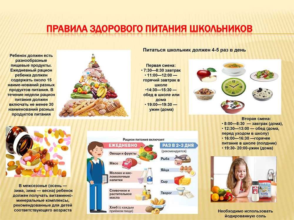 Как и чем кормить старую собаку