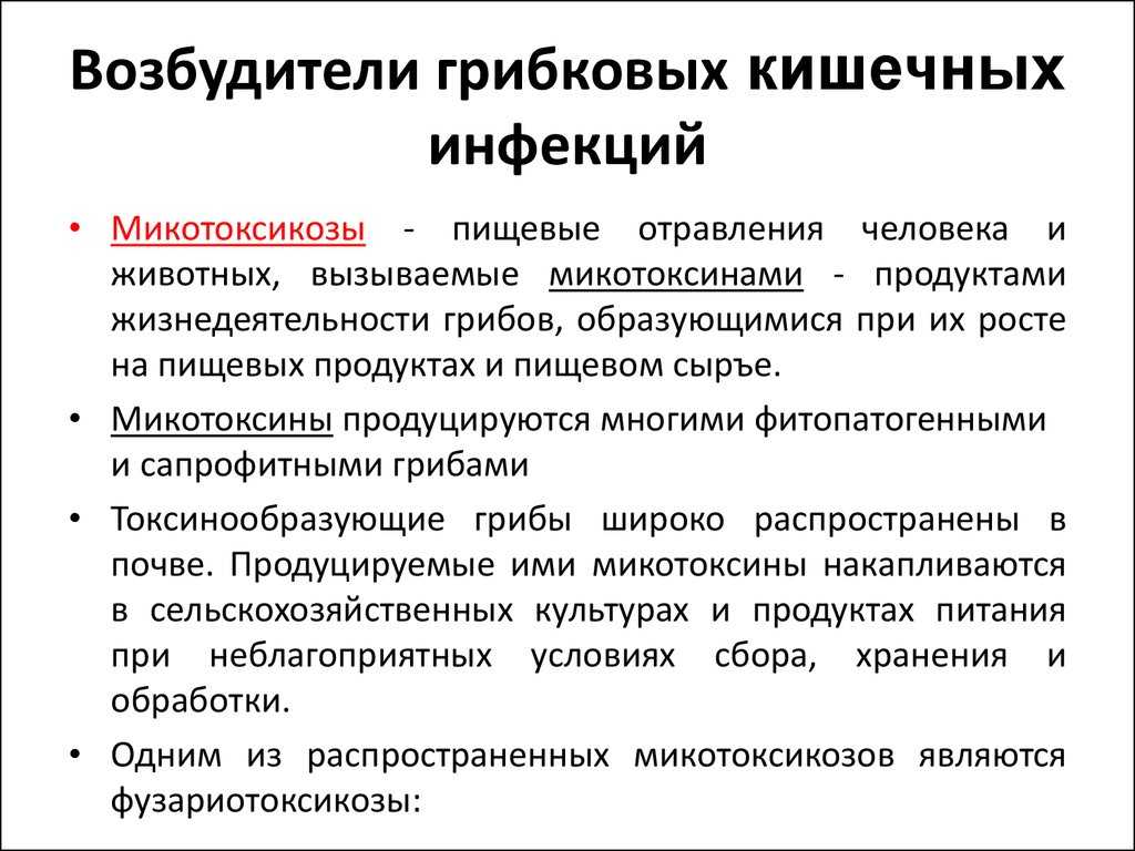 Протозойные болезни животных: симптомы, лечение и профилактика