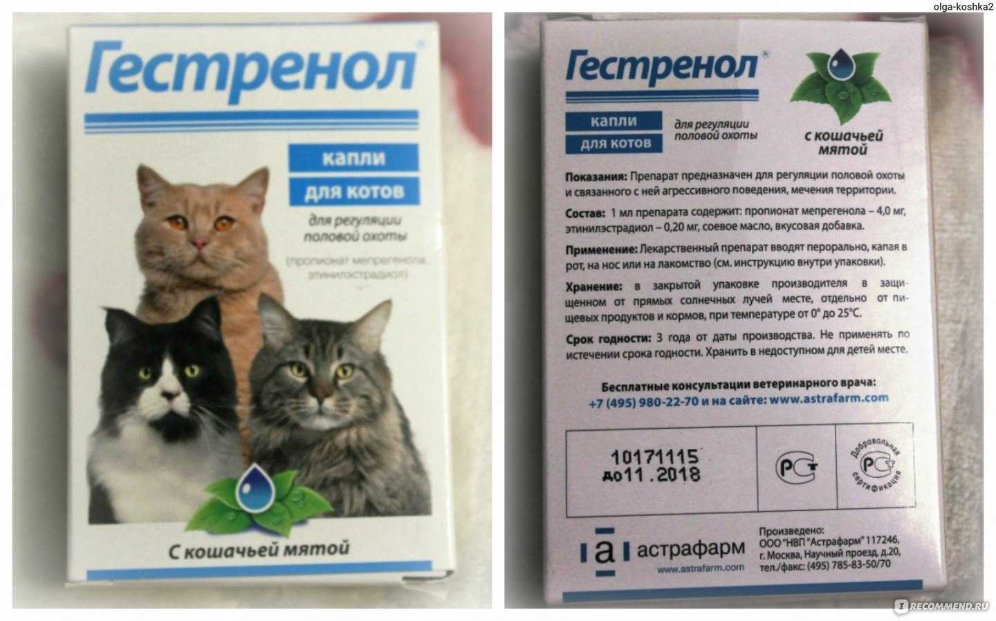 Успокоительные средства для кошек