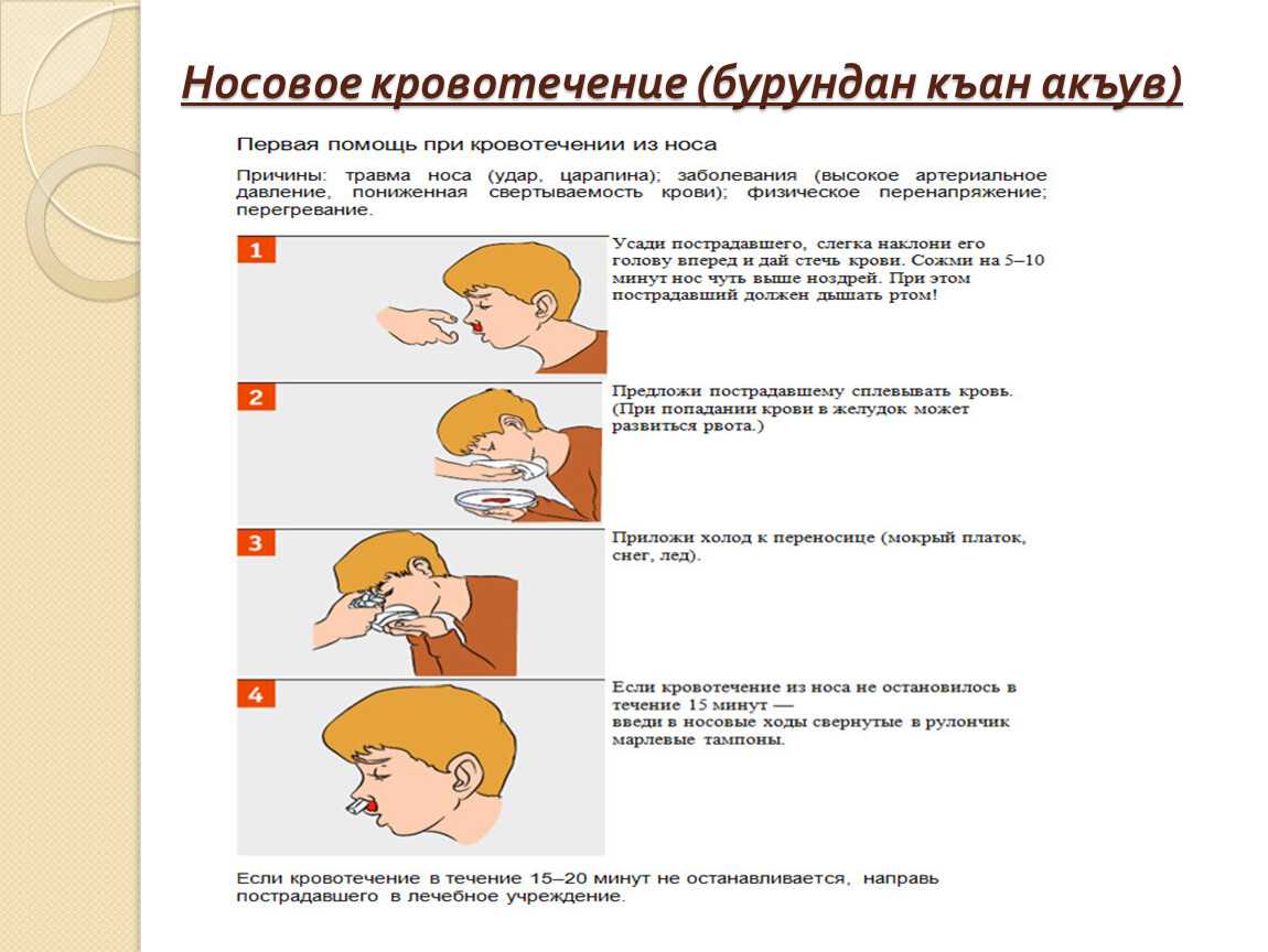 Кровотечения у кошек: когда помощь врача обязательна. как определить внутреннее кровотечение у кошки, собаки