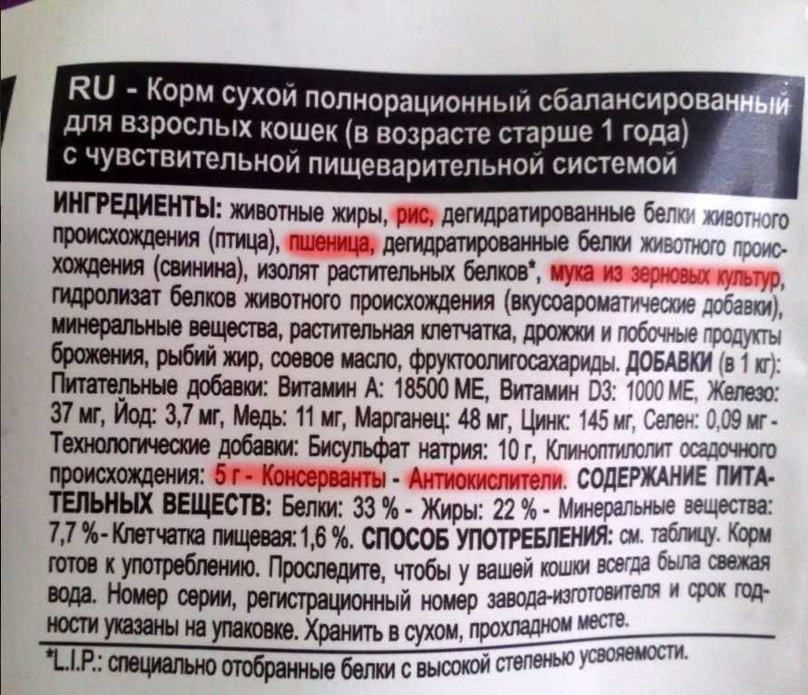 Сахарный диабет у кошек: симптомы и лечение - ситивет, спб