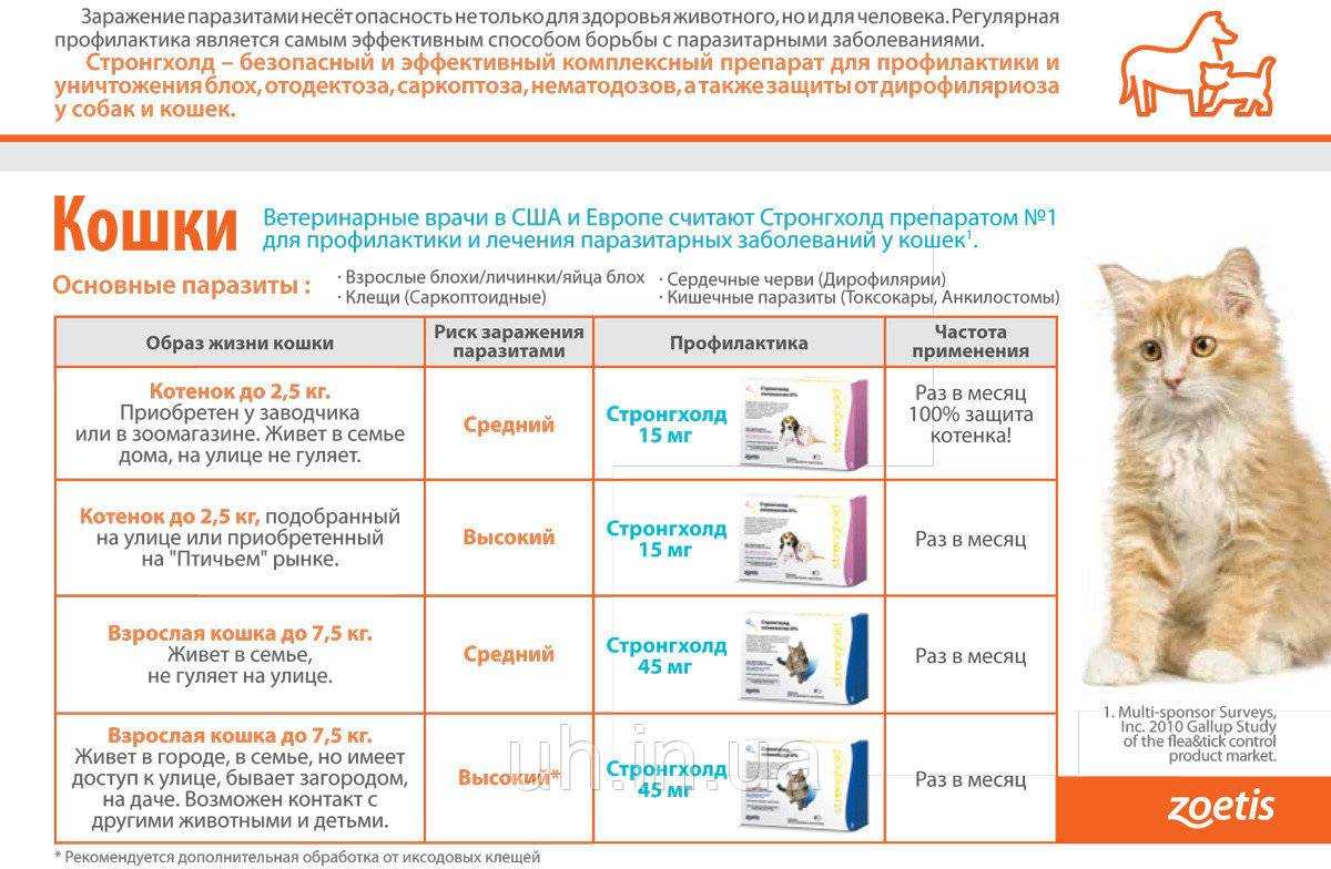 Повышенная линька у собаки