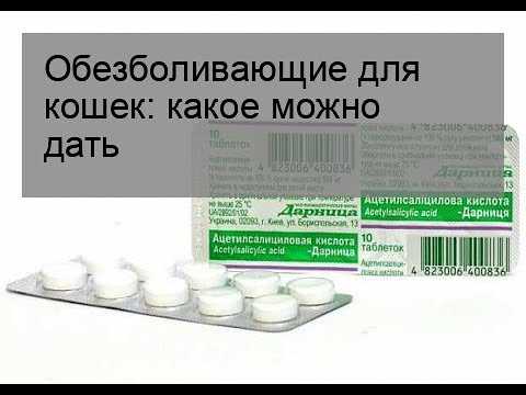 Обезболивающее для кошек: виды препаратов, как выбрать, обзор популярных анальгетиков, отзывы
