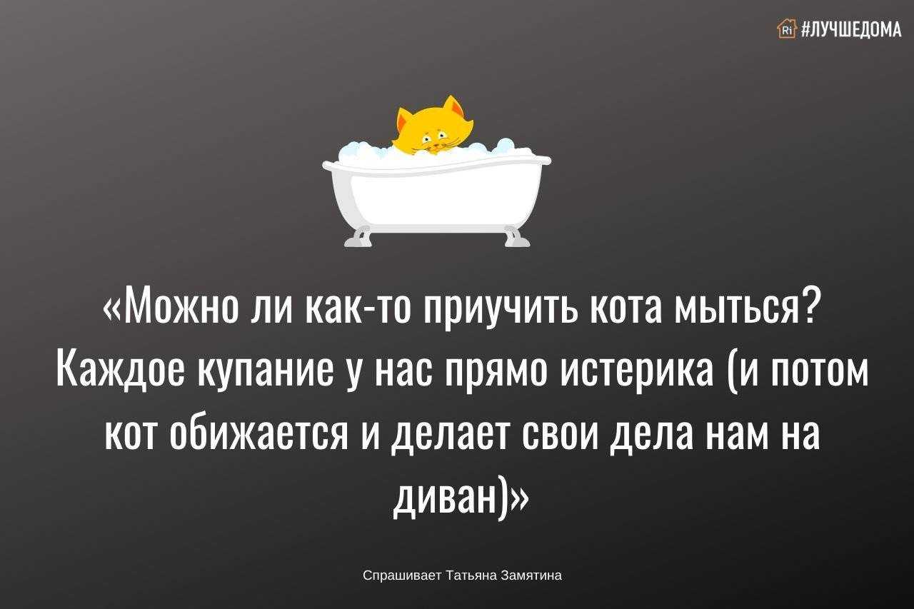 Собака ест землю из цветочного горшка: причины, опасность поедания