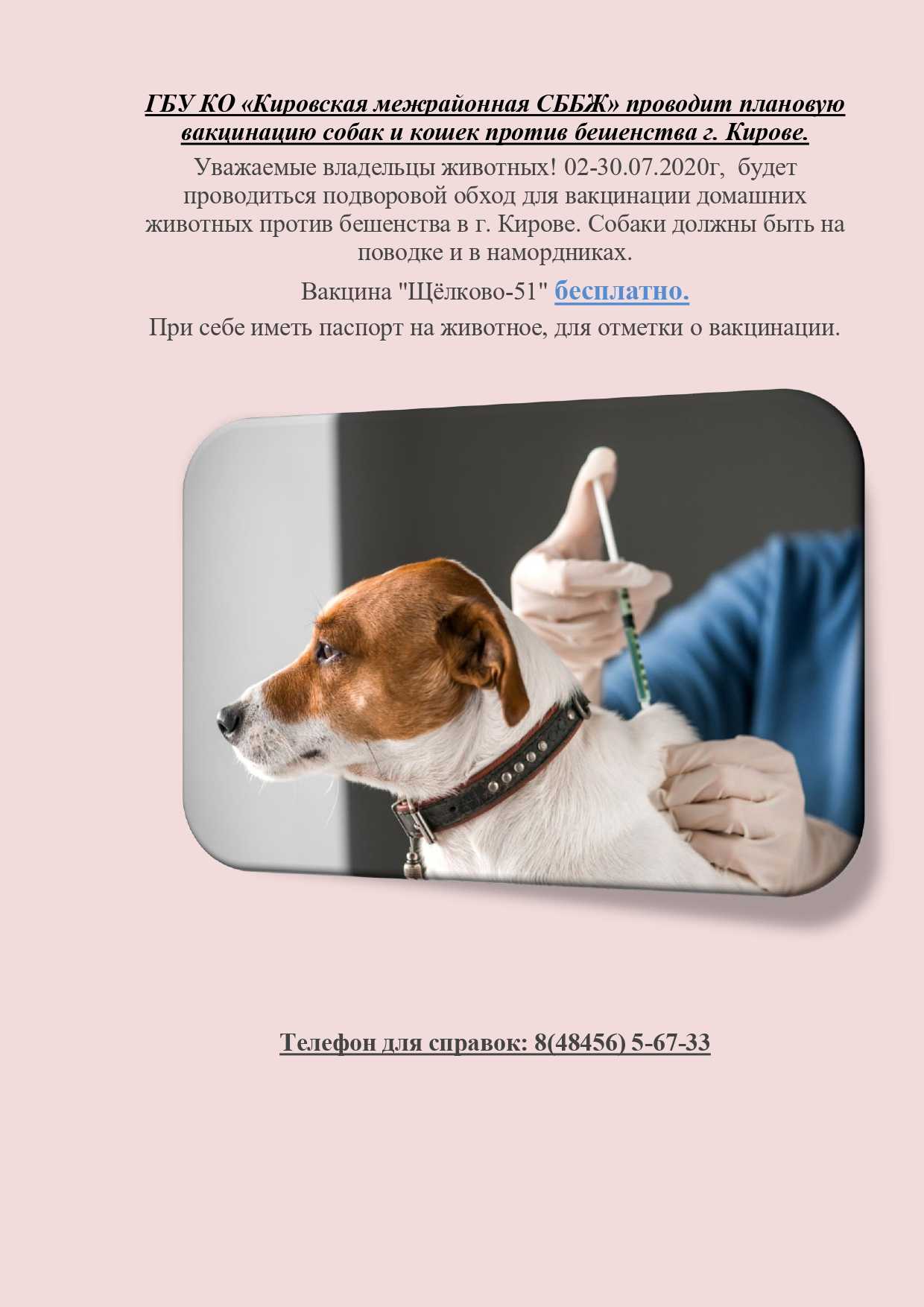 Вакцина от бешенства для собак: нобивак и другие названия
